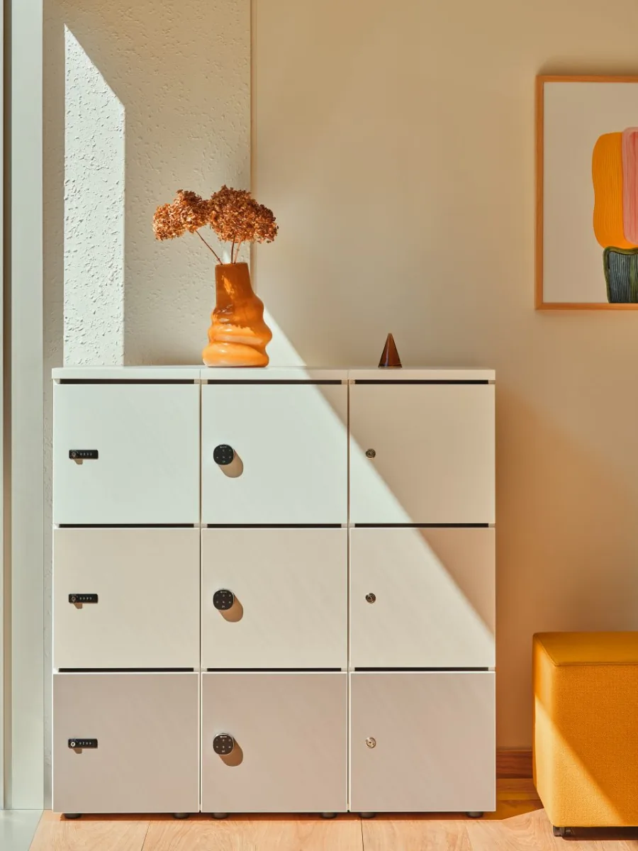 Locker Standard LOK03