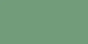 Zielony (salvia) · RAL 6021