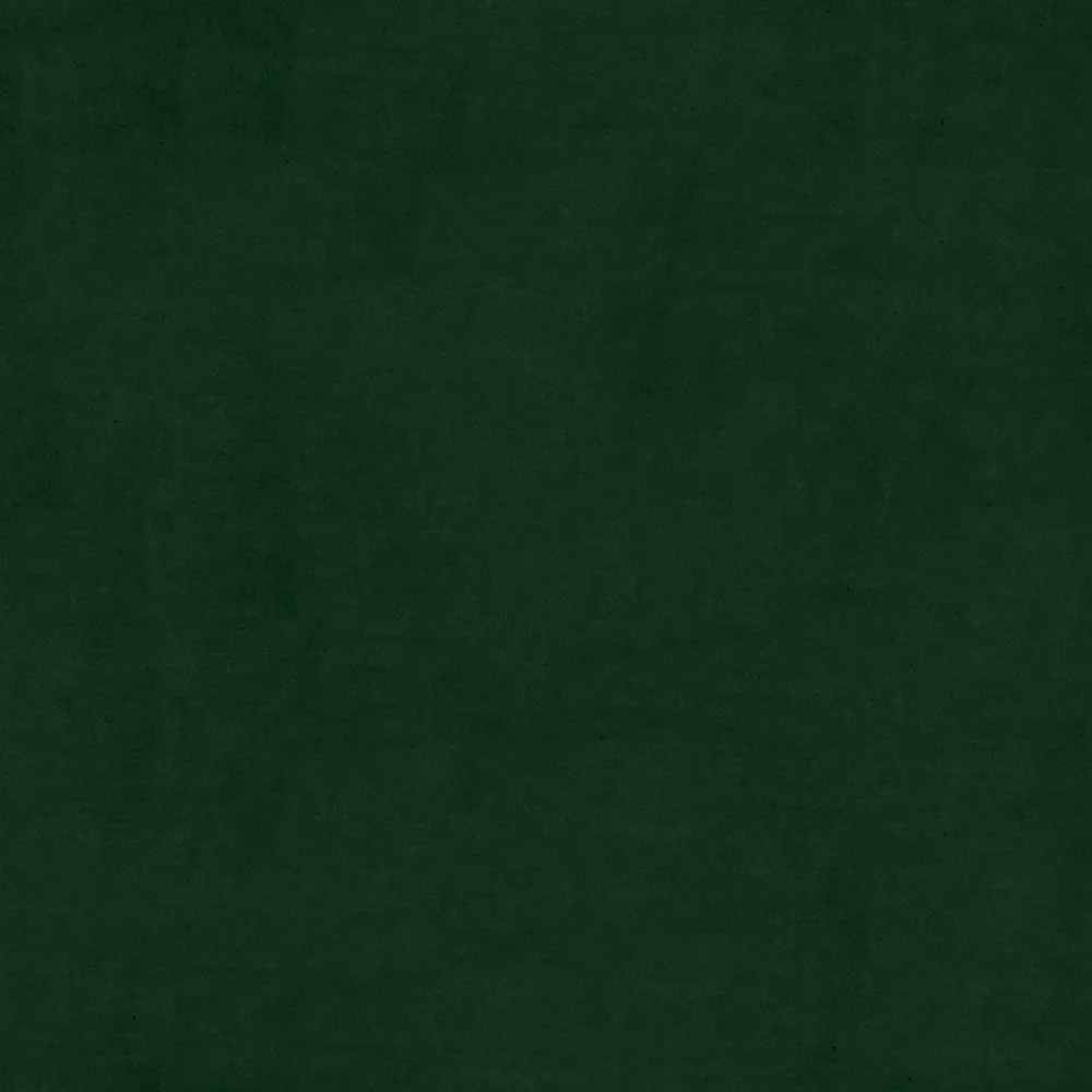 Charles CH045