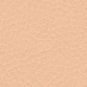 skai Parotega NF653