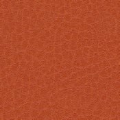 skai Parotega NF654