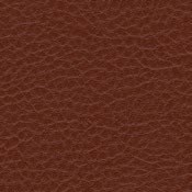 skai Parotega NF655