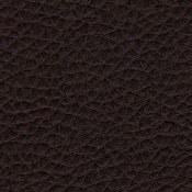 skai Parotega NF656