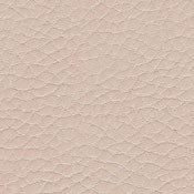 skai Parotega NF662