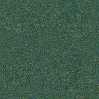 Alaska AS004