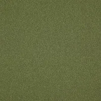Fenno FN017