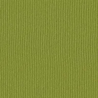 Silvertex SV5081