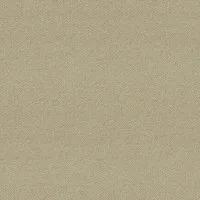 Synergy LDS19WEB
