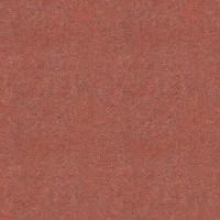 Synergy LDS73WEB