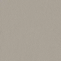 Valencia - Studio Design VALENCIAFUNGI1072522